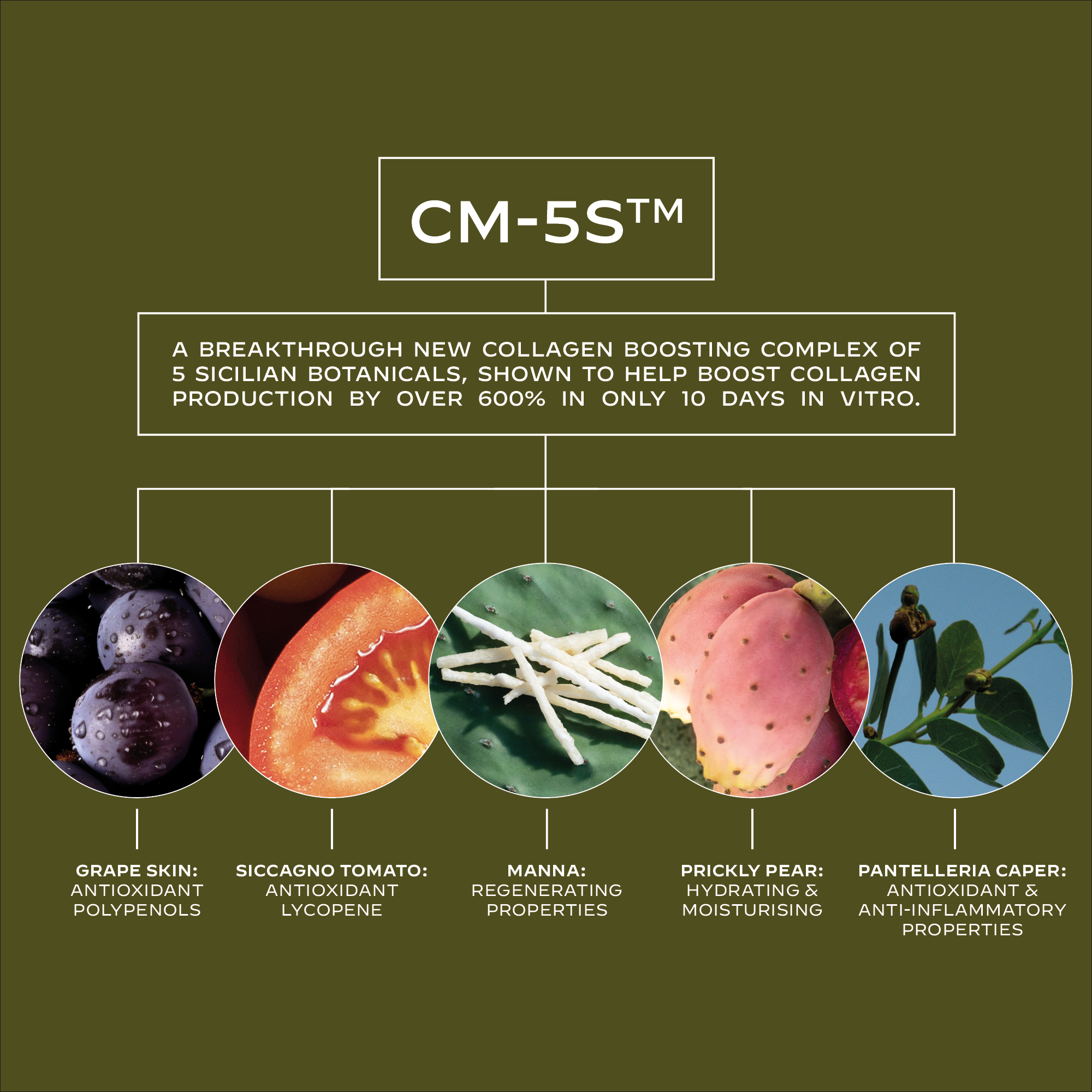 COLLAGEN SOLUTION FIRMING SERUM