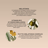 Melatonin B12 - Overnight Repair Mask